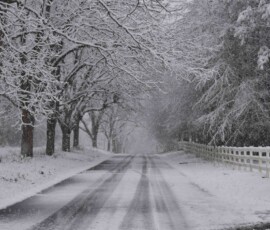 Snow 2018 by Philip Martin