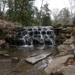 Junior Winner - Sarah Lockwood