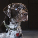 Dan Blanton - March 2019 FB Challenge