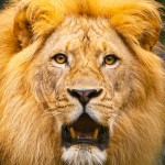 Advanced 3rd Place - Brian Kinder Advanced 3rd Place - Brian Kinder