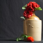 Winner Junior: Sarah Lockwood