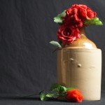 Winner Junior: Sarah Lockwood