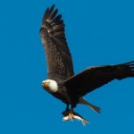 Gail Johnson Intermediate Gail Johnson Intermediate