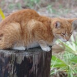 Kathy Bibbings Beginner Kathy Bibbings Beginner