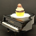 Beginner - Joann Marvin