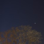 Intermediate - Greg Aaron