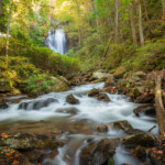 Advanced Brian Kinder