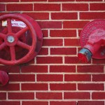 3rd Place: Anika Glover
Category: Fire Hydrant