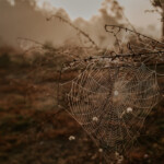Advanced: Mariana Benjamin