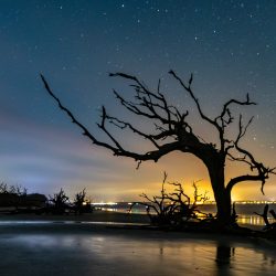 Advanced - Gail Johnson