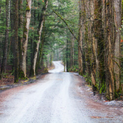 Beginner - Collette Crider