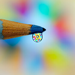 Master - Lorrie Smith