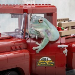 Master: Jason Blalock