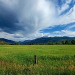 Intermediate - Mary Jane Gross