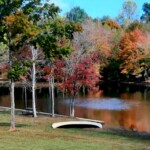 Beginner - Lisa Hewitt