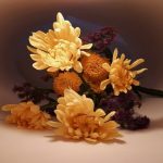 Lisa Hewitt-Beginner