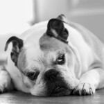 Jason Blalock - Master