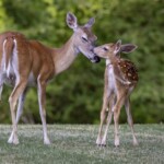 Master - Jason Blalock