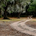 Beginner: Lisa Hewitt