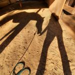 Lisa Hewitt-beginner