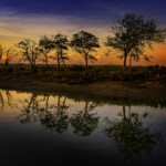 Advanced - Nick Zelinsky