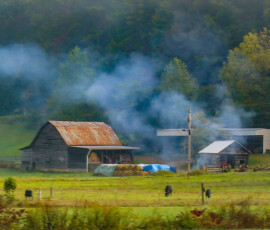 Advanced Lynn Roberts