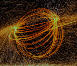 December Champion-Junior