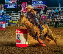 Nick Zelinsky-Advanced