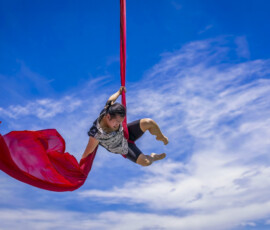 Frank Cardamone-Master